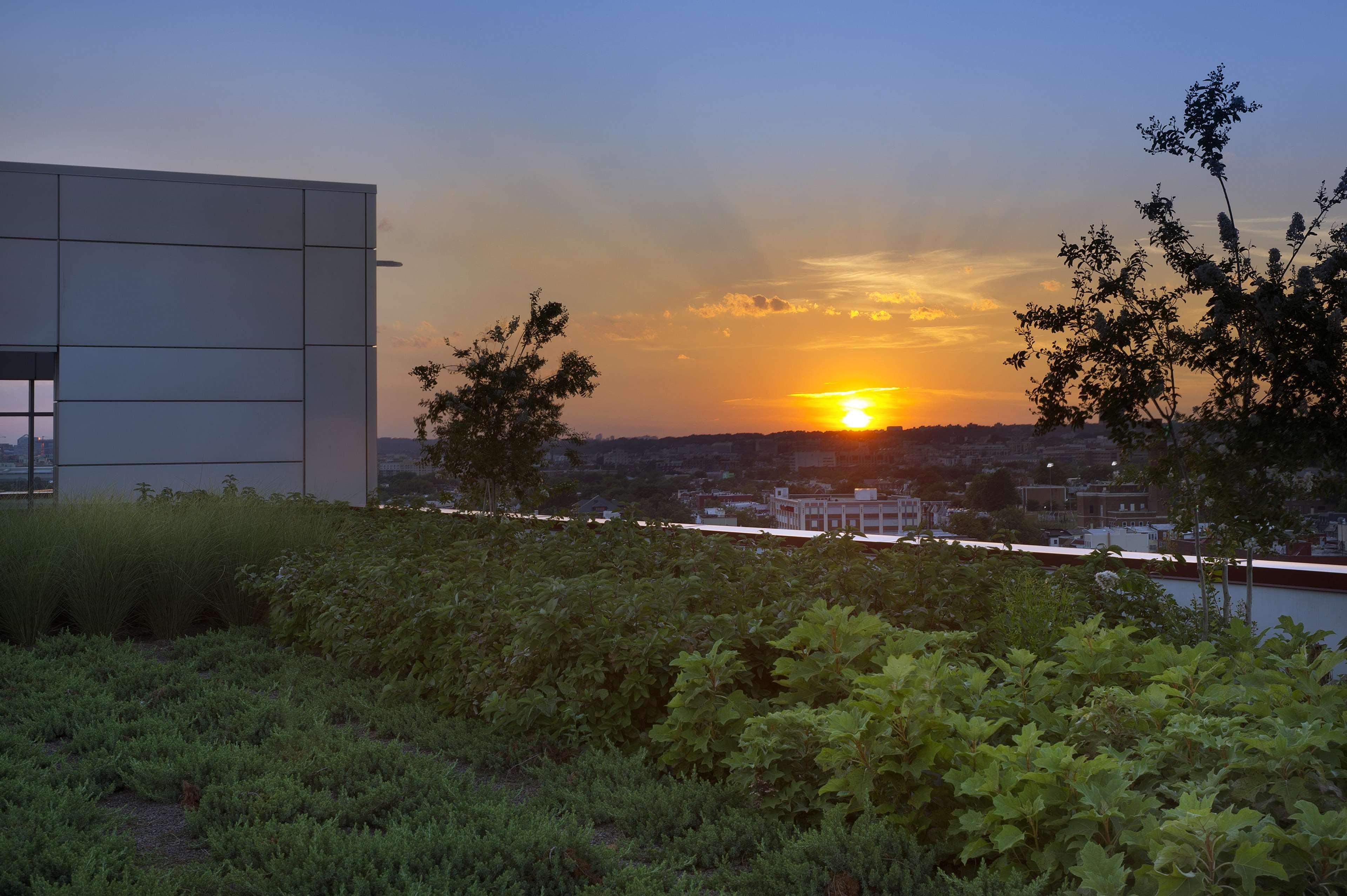 Hampton Dc Noma Union Station Hotel Washington